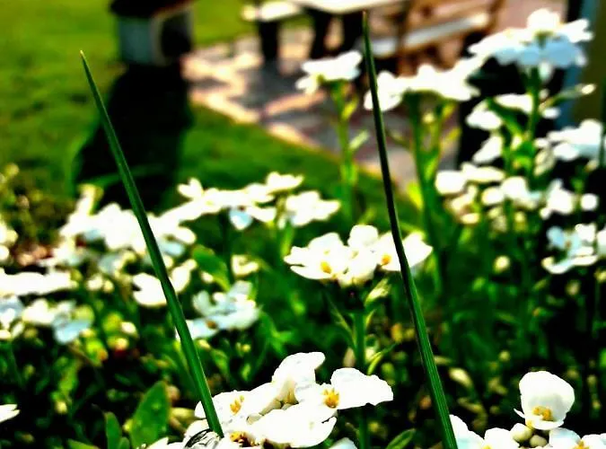 Michaela Apartment *